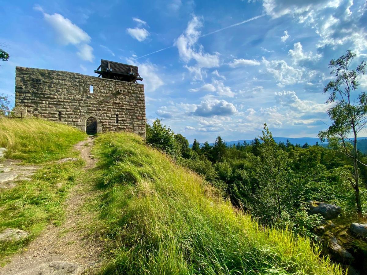 Ferienwohnung Oxana Im Naturpark Fichtelgebirge Schonwald  Exterior foto